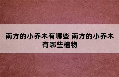 南方的小乔木有哪些 南方的小乔木有哪些植物